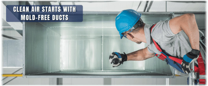 Air Duct Mold Removal in Takoma Park