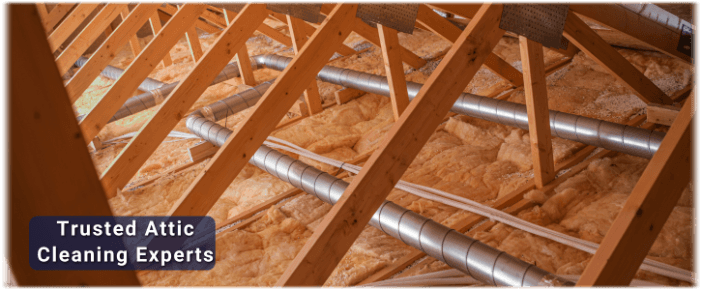 Attic Cleaning Takoma Park
