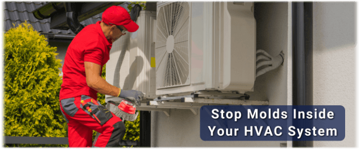 HVAC Mold Removal Takoma Park